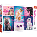 1000 Piece Jigsaw Puzzles, Super Cats, Neon Line, Adult Puzzles, Trefl 10581