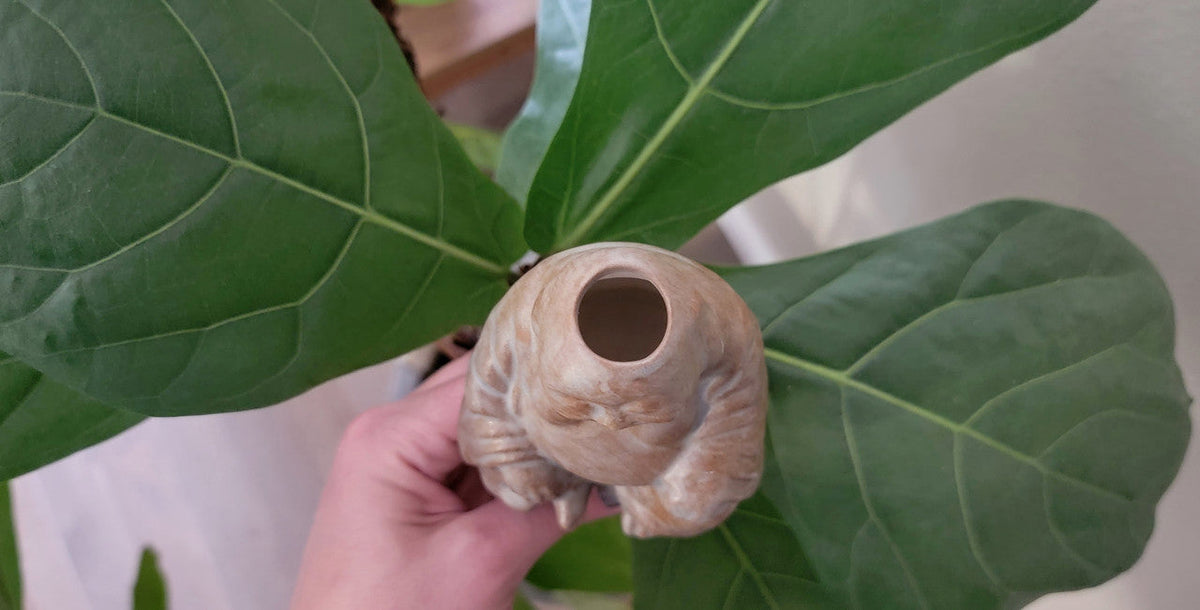 Buddha Watering Spike