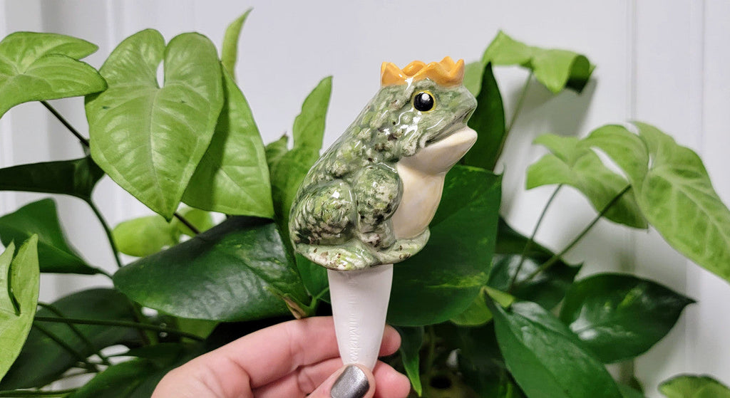 Prince Frog Watering Spike