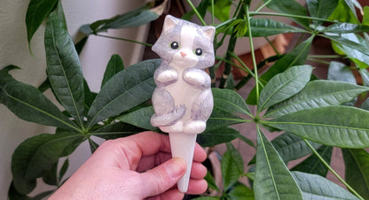 Cat Watering Spike