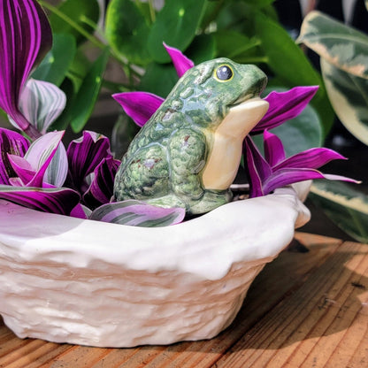 Frog Watering Spike