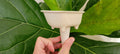 Bathtub Watering Spike