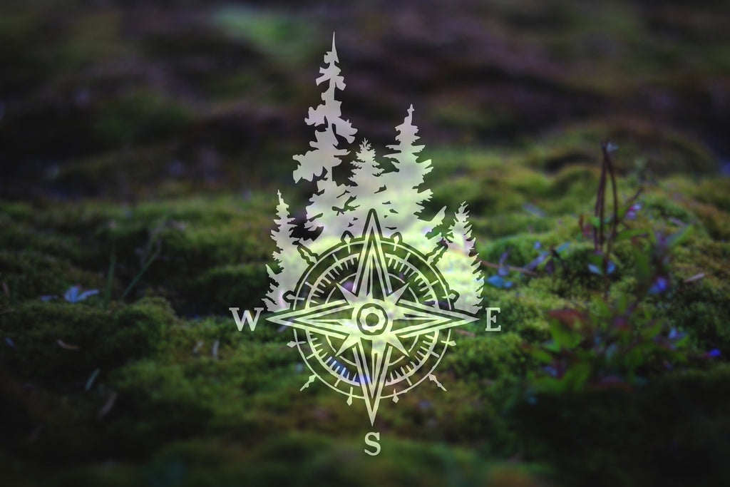 Forest Compass Rose Vinyl Decal | 278