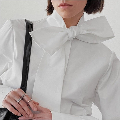 Chic Solid Color Long Sleeve Blouse