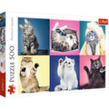 500 Piece Jigsaw Puzzle, Kittens, Silly Pets, Cat Collage, Adult Puzzles, Trefl 37377