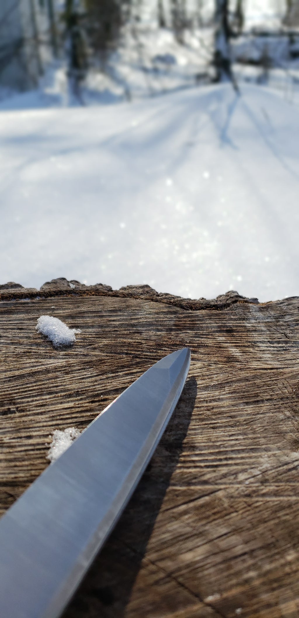 Humboldt Spear Point Utility Shears