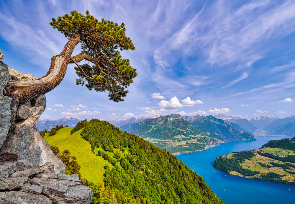 1000 Piece Jigsaw Puzzle, View of the Lake of Uri, Switzerland, Landscape puzzle, Mountain view, Adult Puzzle, Castorland C-105311-2