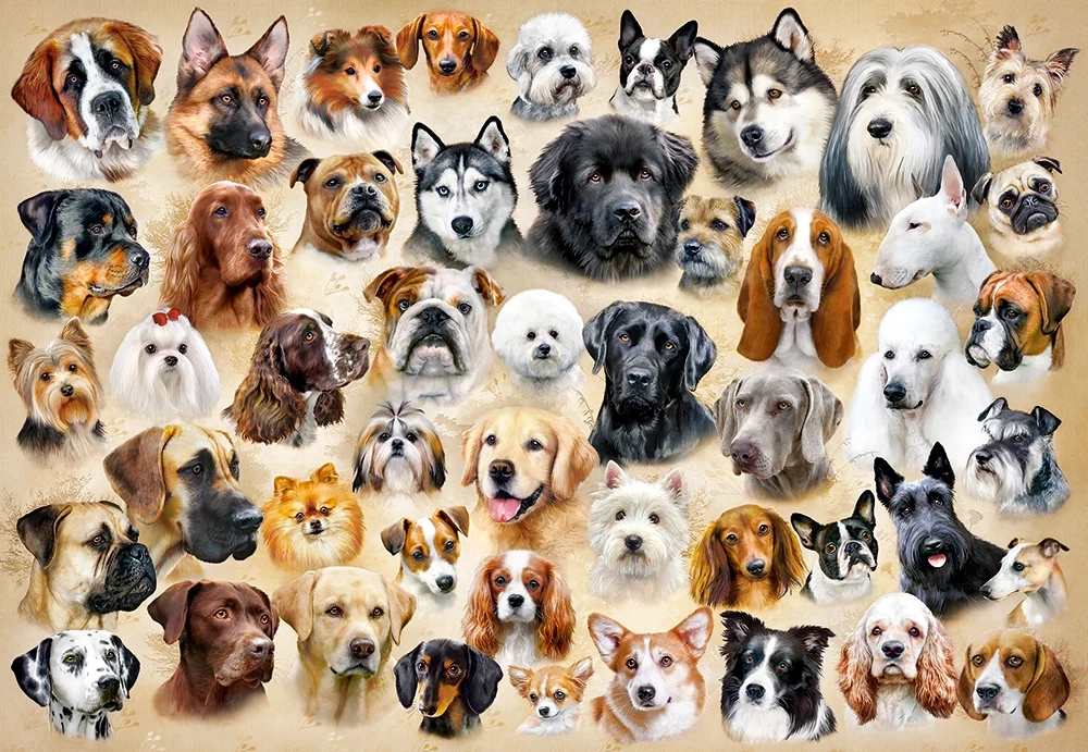 1500 Piece Jigsaw Puzzle, Collage with Dogs, Challenging Multi-Pet Portrait Gallery, puppy collage jigsaw, Adult Puzzle, Castorland C-151943-2