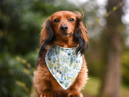"Food Trucks" Dog Bandana