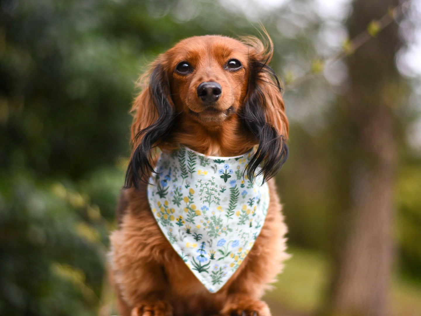 "Periwinkle Fleur" Dog Bandana