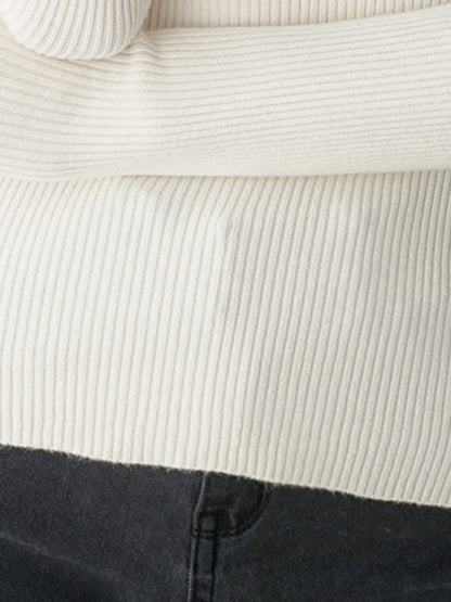Simple Long Sleeves Skinny Solid Color High-Neck Pullovers