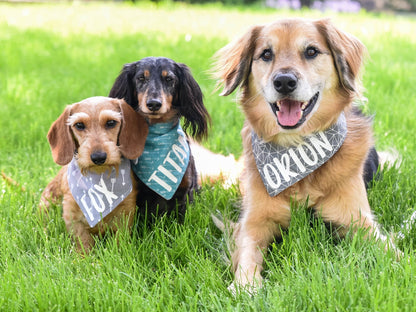 "Dog of Honor" Wedding Dog Bandana