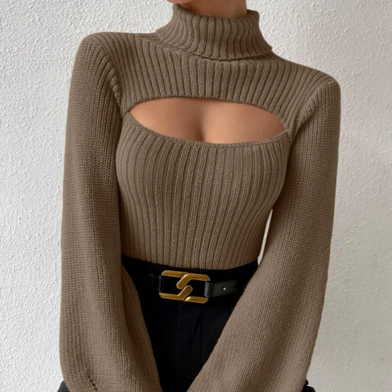 Sexy Hollow Out Solid Color Turtleneck Knit Sweater