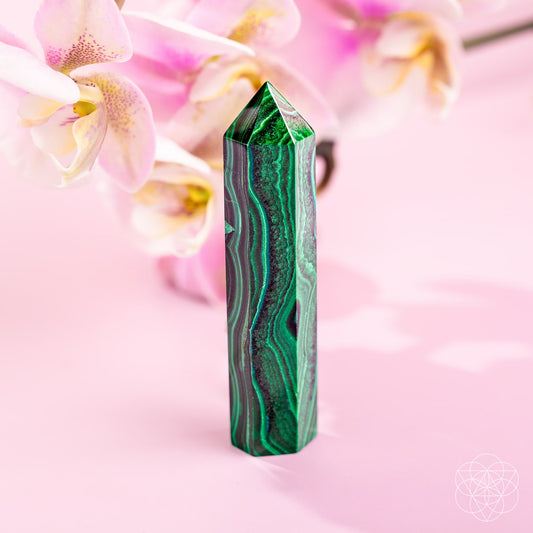 This Changes Everything – Malachite Phoenix Point
