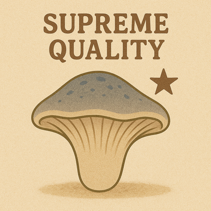 Phoenix Oyster MycoGarden Fruiting Kit  - (Pleurotus pulmonarius)