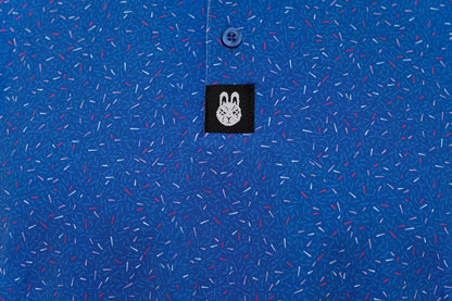 The Big Bang Polo