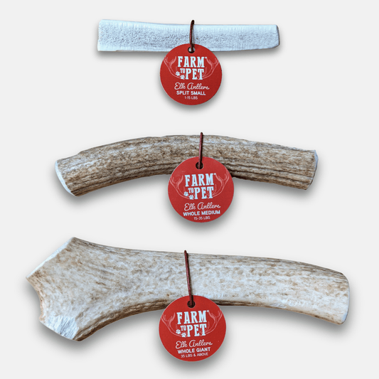 Elk Antler Dog Chews | All-Natural Whole and Split Elk Antler Chews for Dogs