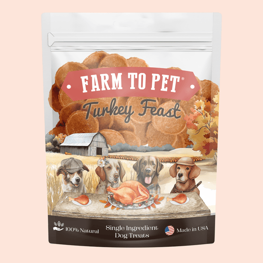 Turkey Feast Chips