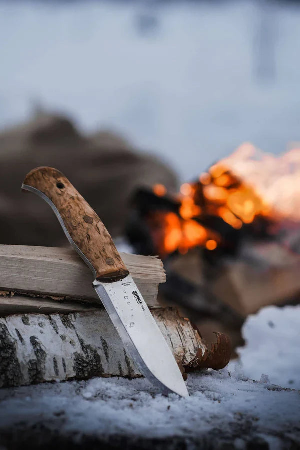 Helle Nord Sleipner Steel