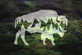 Mountain Buffalo Vinyl Decal | 128