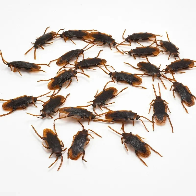 Realistic Fake Cockroaches | Lifelike Prank Toy for Gags and Jokes