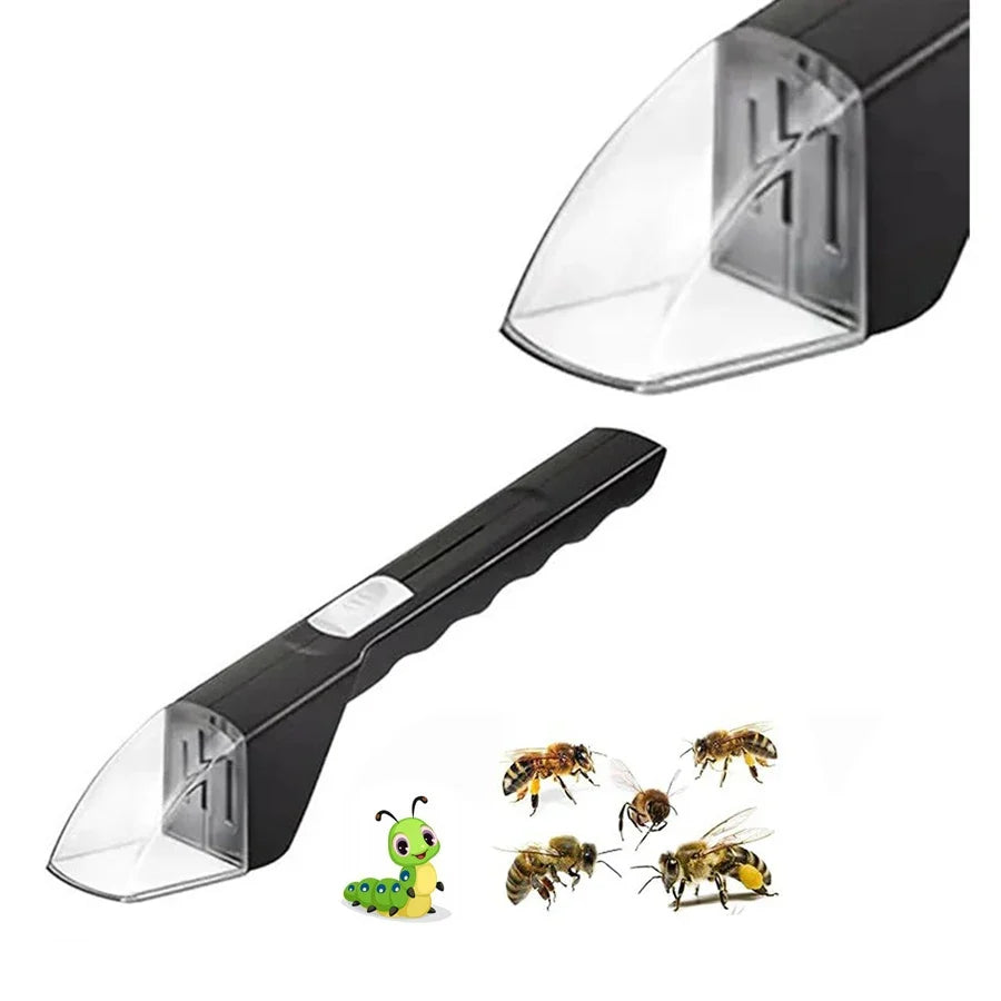 Kids Bug Catcher | Humane Insect Observer with Quick Release