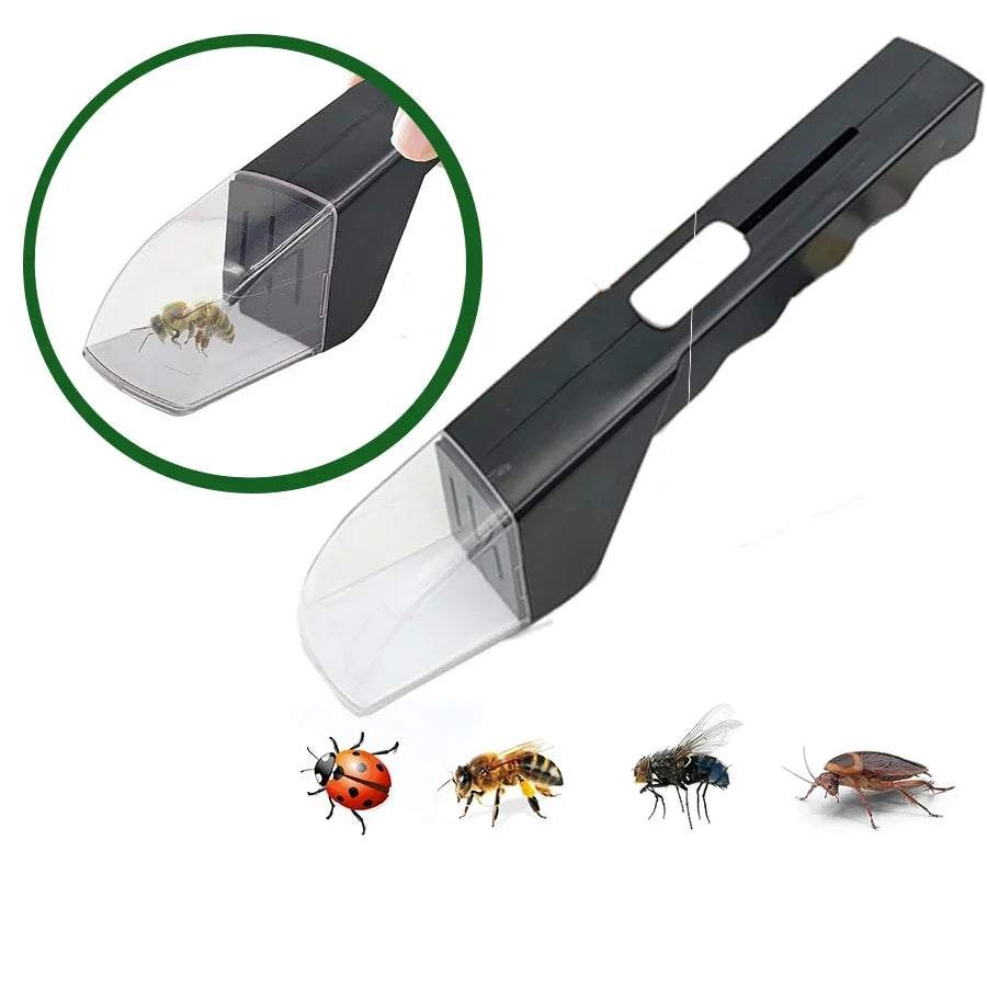 Kids Bug Catcher | Humane Insect Observer with Quick Release