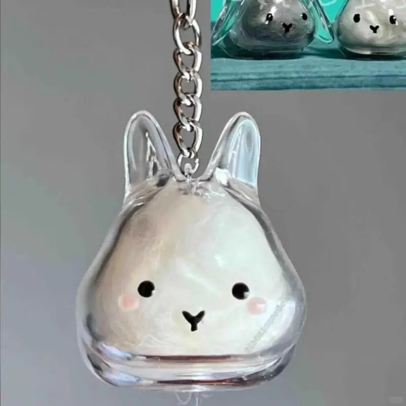 Pet Hair Memorial Transparent Storage Box Keyring | Cute Animal Rabbit Fur Organizer Keychain Bag Pendant