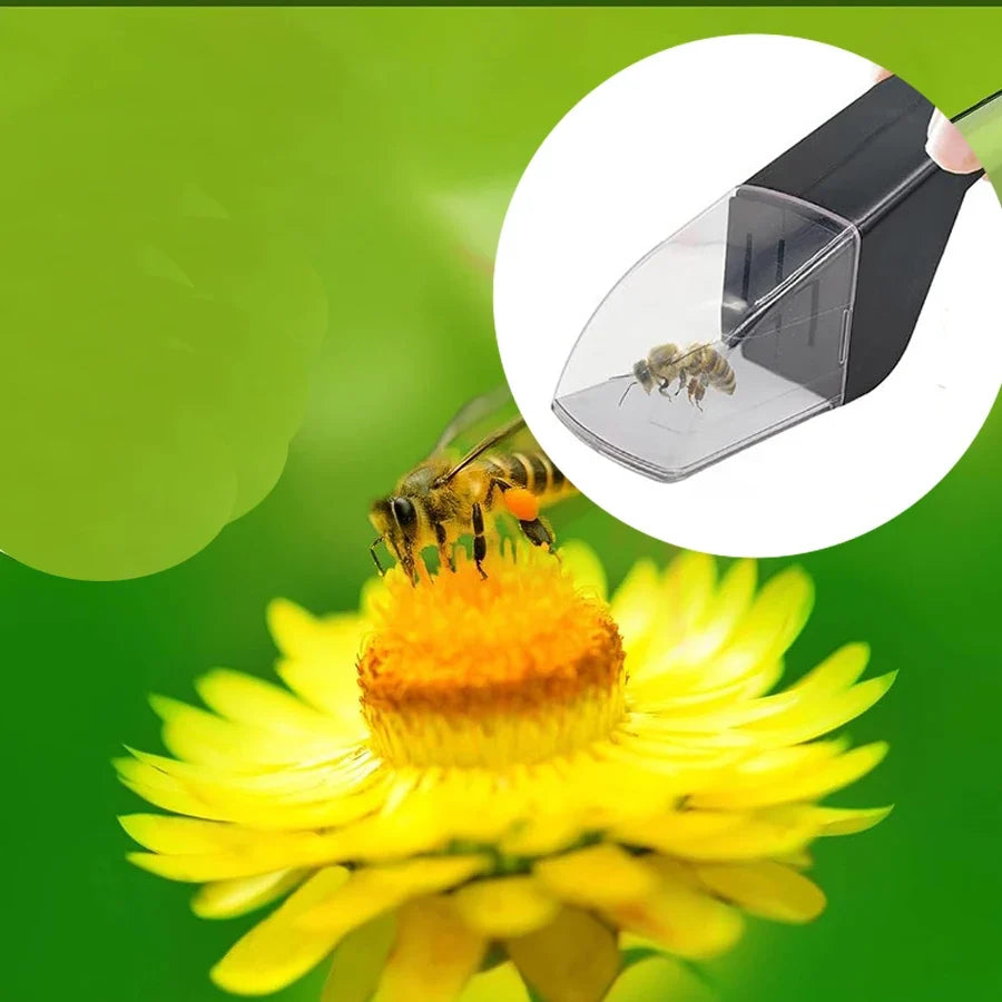 Kids Bug Catcher | Humane Insect Observer with Quick Release