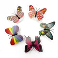 Colorful Butterfly LED Night Light | Fun Fridge and Home Decor