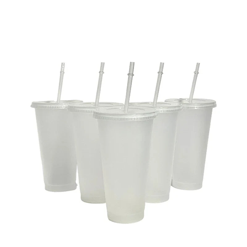 710ml Color Changing Straw Mug | Insulated Reusable Plastic Cup with Lid