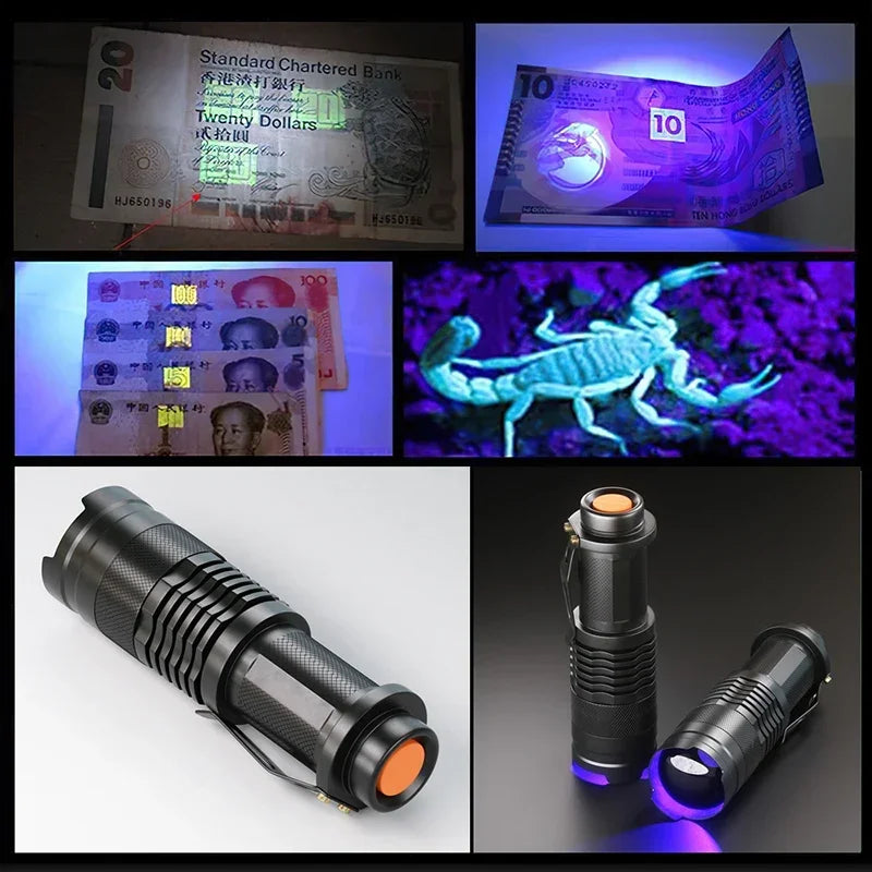 UV LED Flashlight 395nm | Portable Blacklight Detector for Pet Urine, Scorpions & More