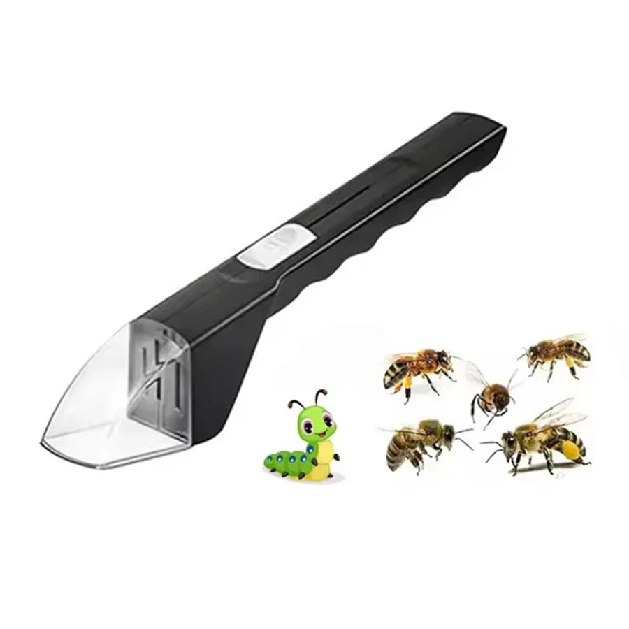 Humane Insect Catcher Viewer | 360° Observation Tool for Kids & Nature Lovers