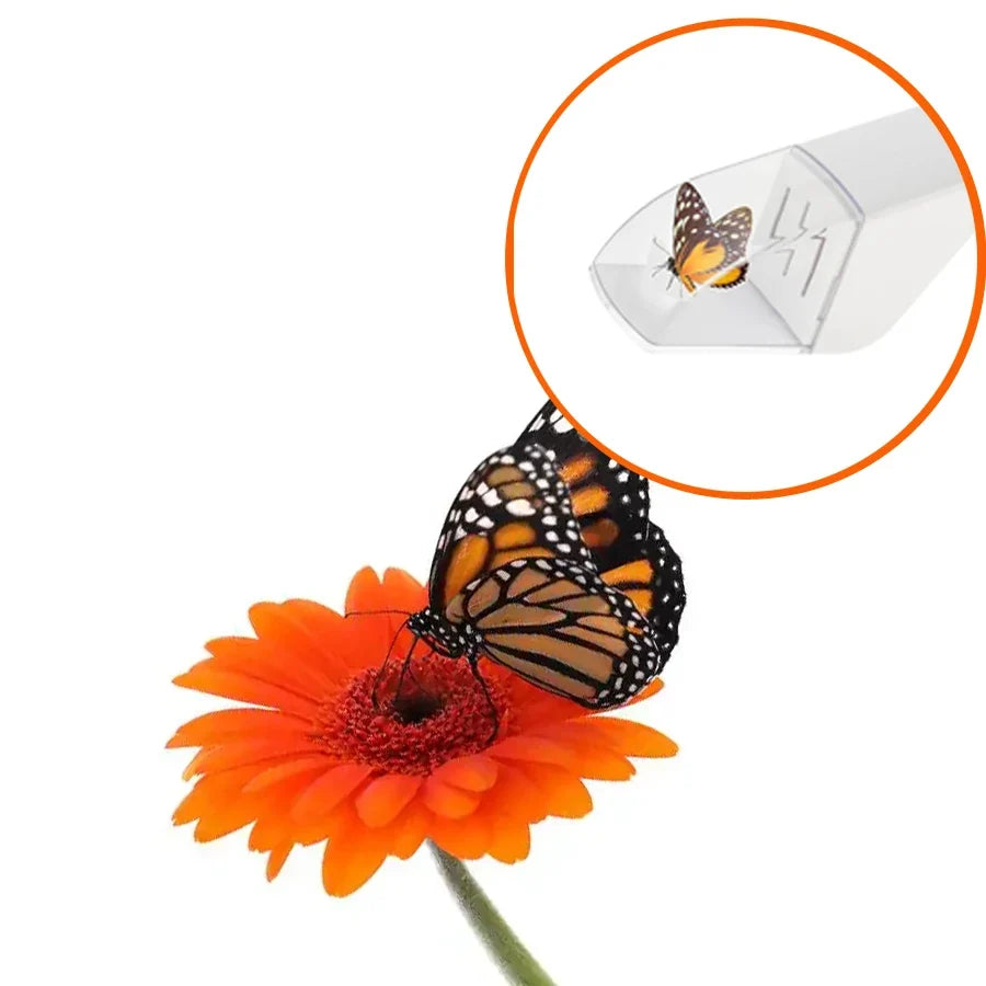 Fly Trap Insect Catcher | Safe and Humane Bug Catcher for Indoor and Outdoor Use