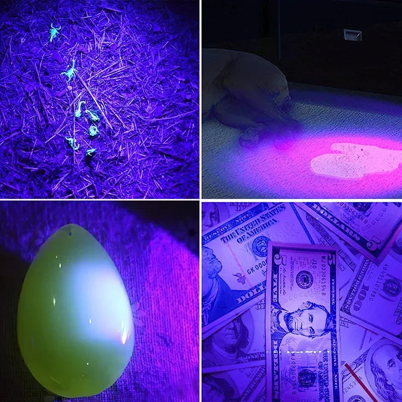 UV LED Flashlight 395nm | Portable Blacklight Detector for Pet Urine, Scorpions & More