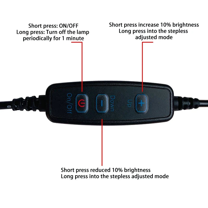 Mini USB LED Desk Lamp | 8 Color Night Light with Eye Protection