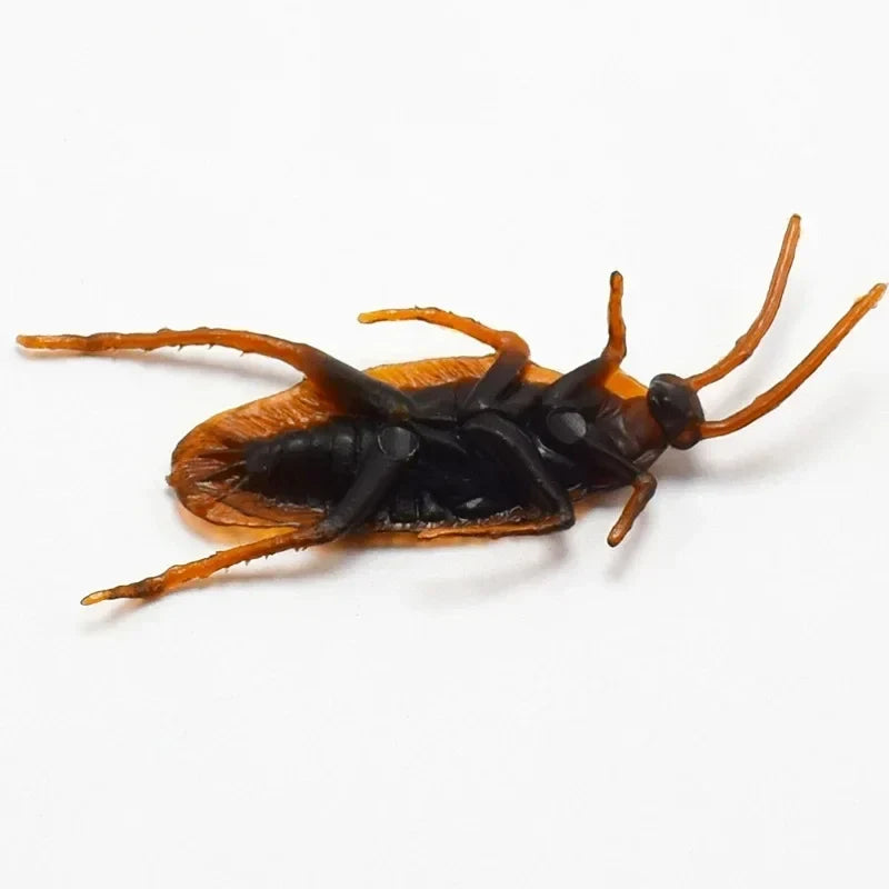 Realistic Fake Cockroaches | Lifelike Prank Toy for Gags and Jokes