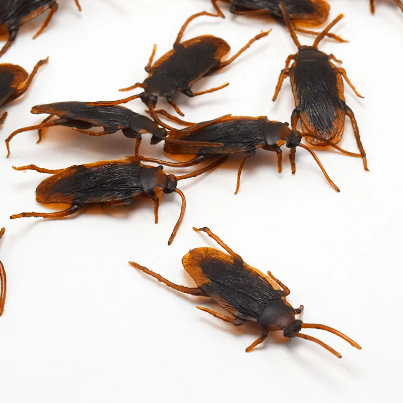 Lifelike Fake Cockroach Gag Props | Horror Joke Prank Toys