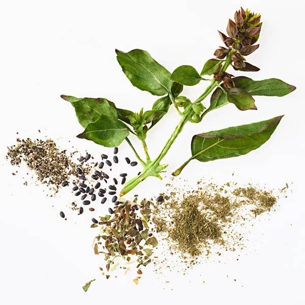 Basil - sweet, peppery, and minty spice