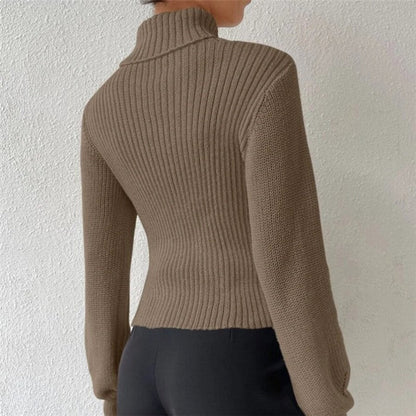Sexy Hollow Out Solid Color Turtleneck Knit Sweater