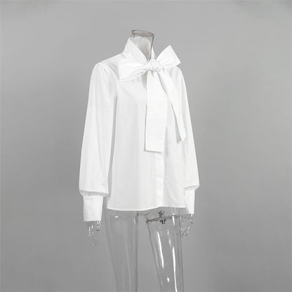 Chic Solid Color Long Sleeve Blouse