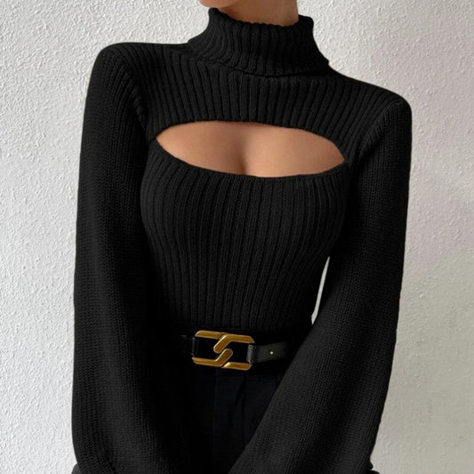 Sexy Hollow Out Solid Color Turtleneck Knit Sweater