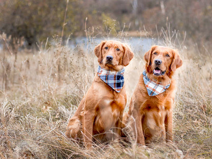 "Grey Bananas" Dog Bandana