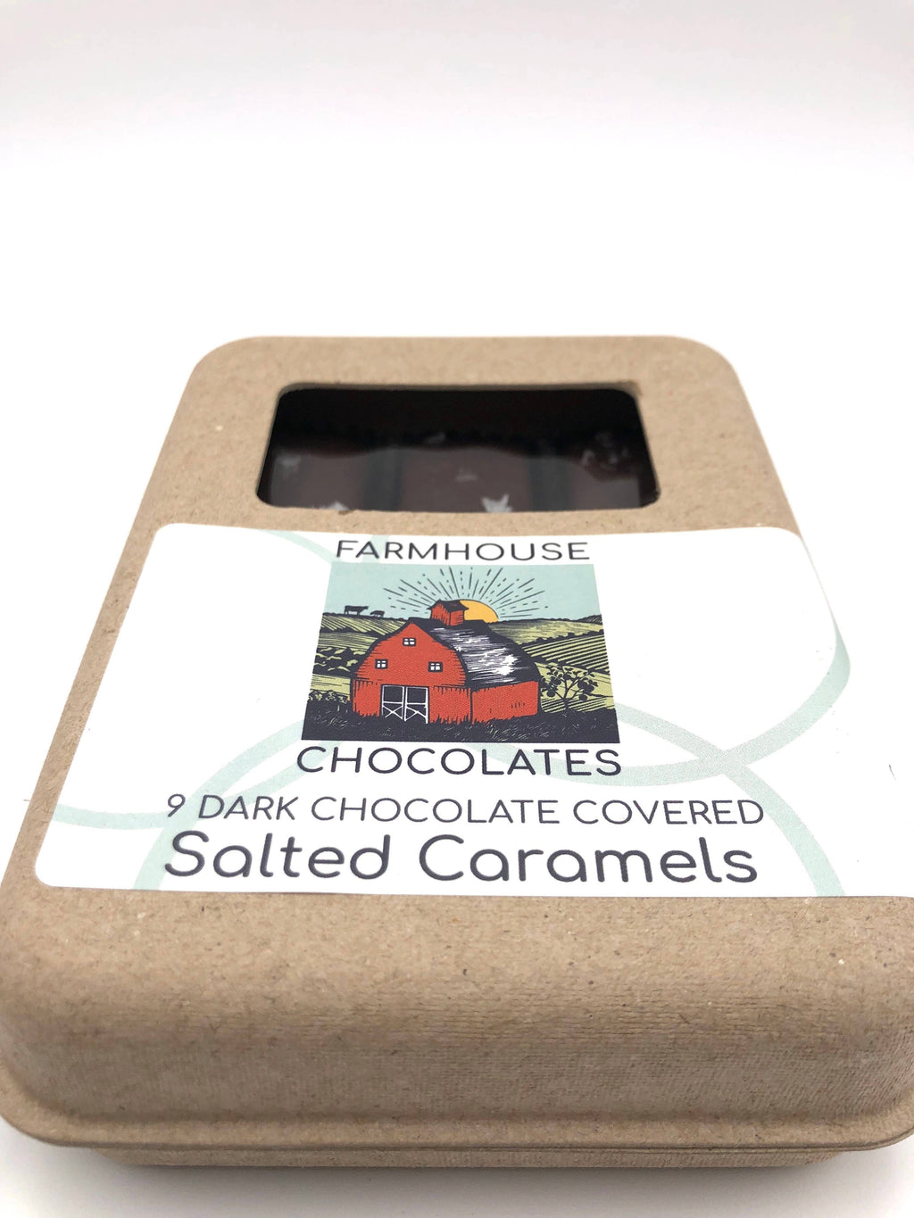 9 Piece Dark Chocolate Covered Salted Caramels