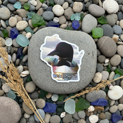 Wisconsin Loon Sticker