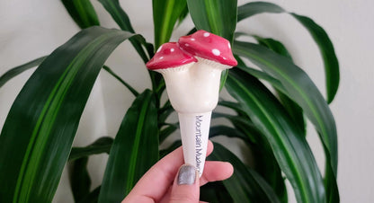 Small Mushroom Watering Spike