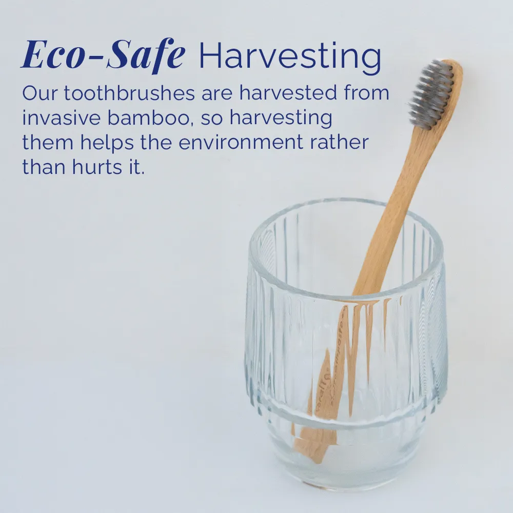 Travel Bamboo Toothbrush